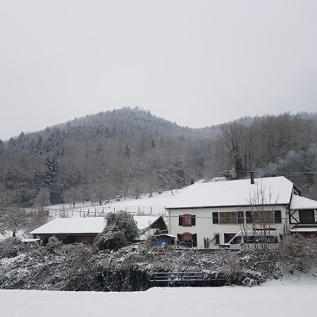 Gite Le Creux Chene Rombach-le-Franc Bagian luar foto