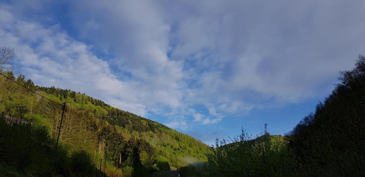 Gite Le Creux Chene Rombach-le-Franc Bagian luar foto