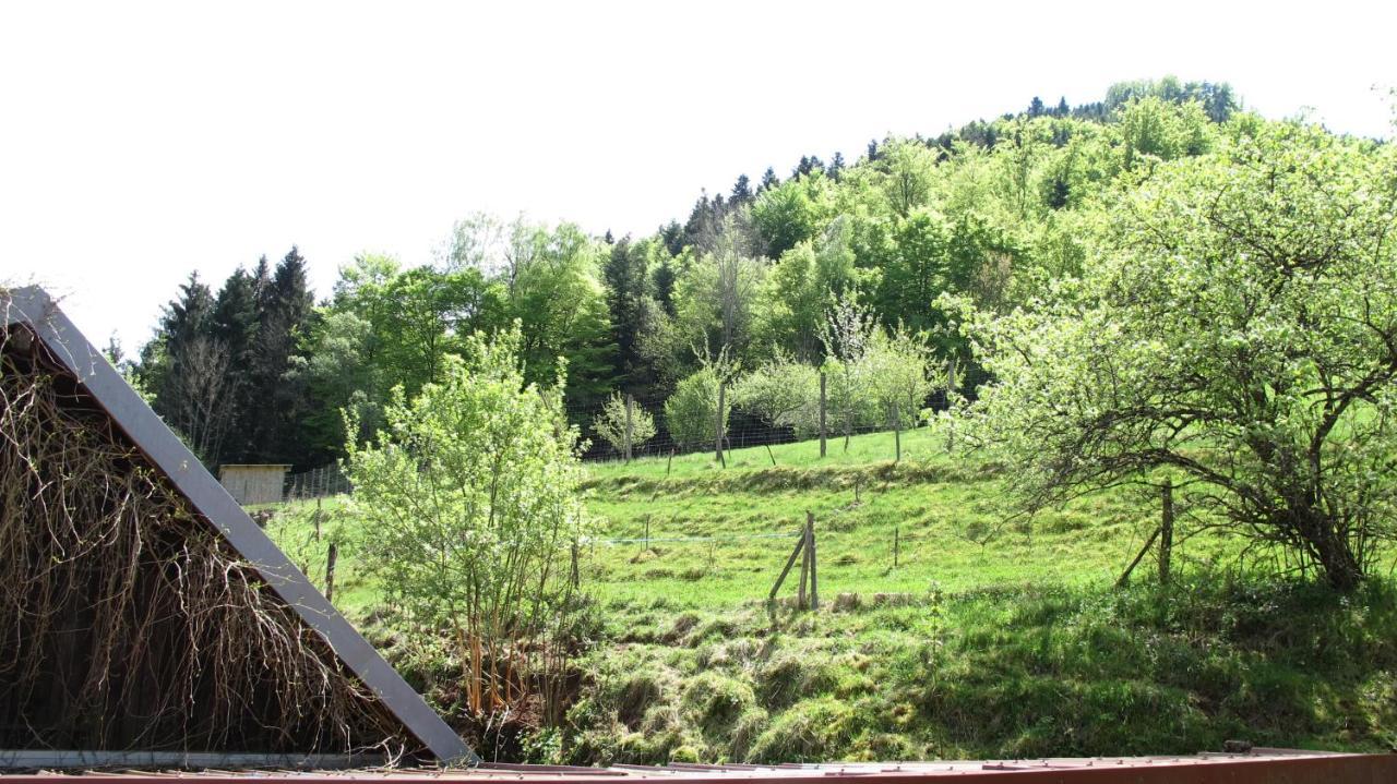 Gite Le Creux Chene Rombach-le-Franc Bagian luar foto